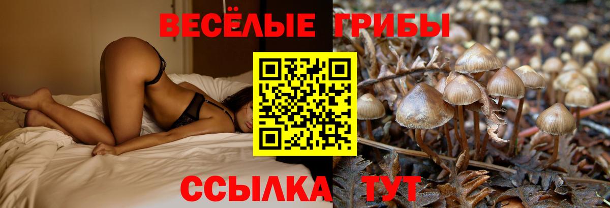 Псилоцибиновые грибы Magic Shrooms Ставрополь